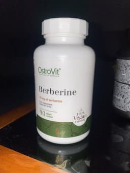 OstroVit Berberine VEGE – 90 Tablets 1